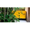 Groupe electrogène 50kVA Diesel Triphasé Monophasé AVR ATS Démarrage Automatique Autonomie 10h VITO Professional